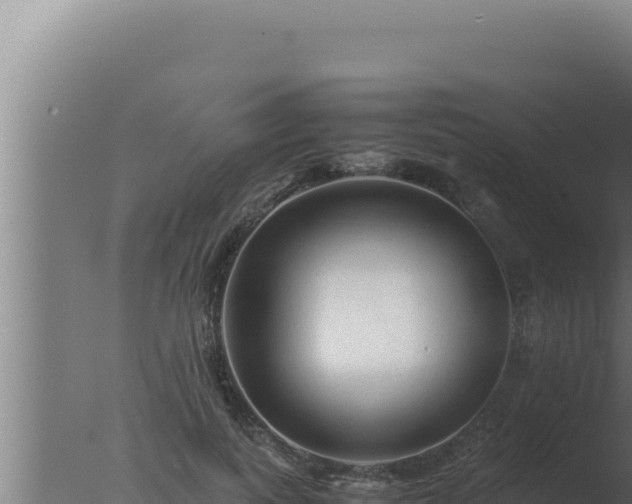 X0000077380743200610271945