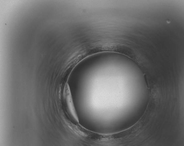 X0000077380744200610271945