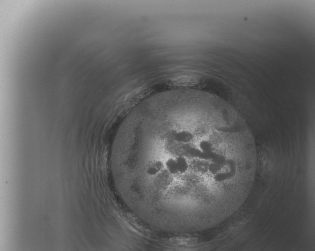 X0000077380745200610271945