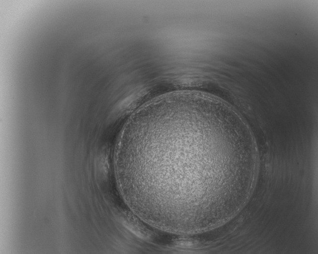 X0000077380746200610271945