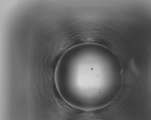 X0000077380747200610271945