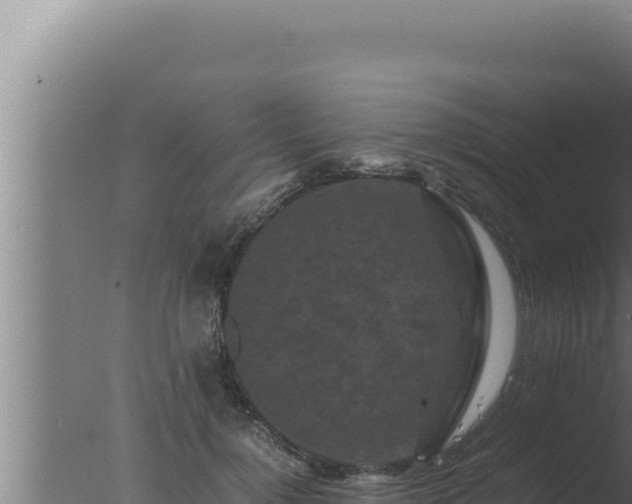 X0000077380748200610271945