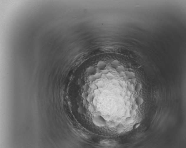 X0000077380749200610271945