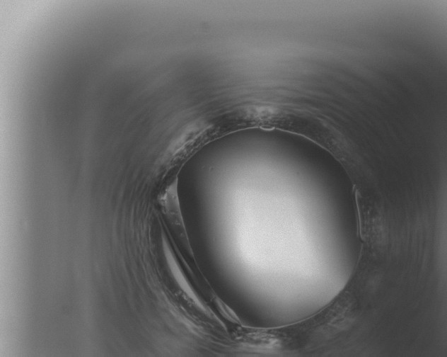 X0000077380750200610271945