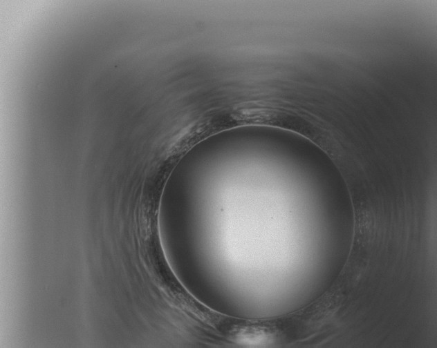 X0000077380751200610271945