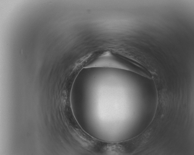 X0000077380752200610271946