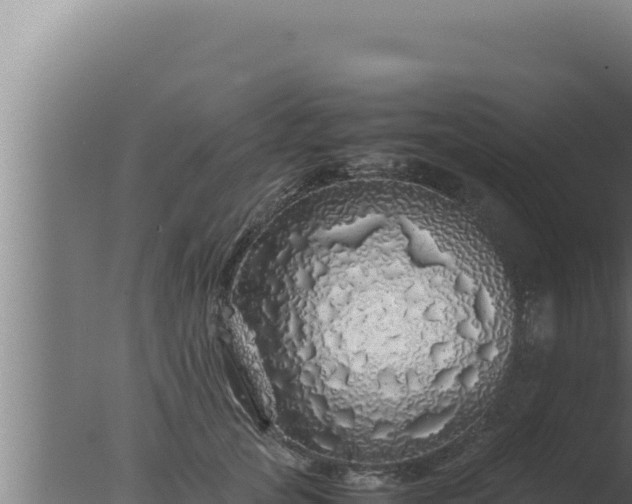 X0000077380753200610271946