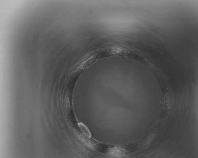 X0000077380754200610271946