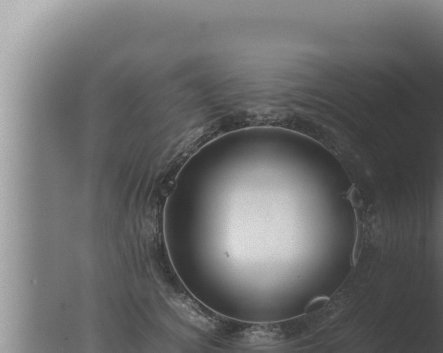 X0000077380756200610271946