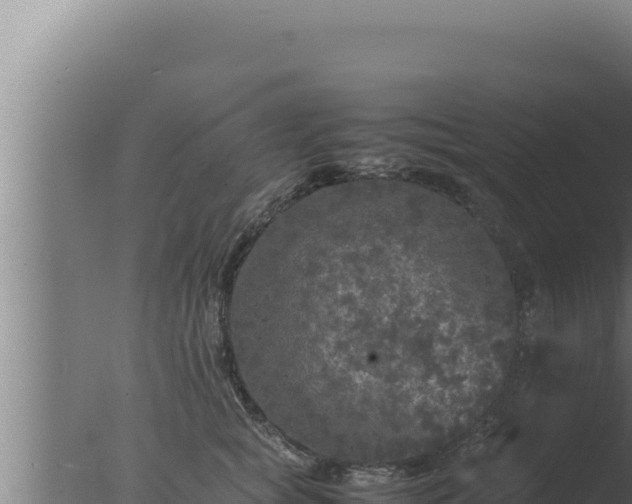 X0000077380757200610271946