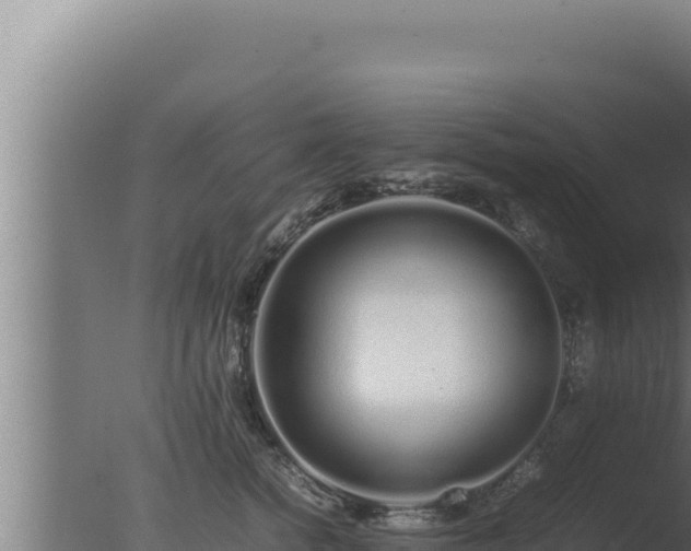 X0000077380758200610271946