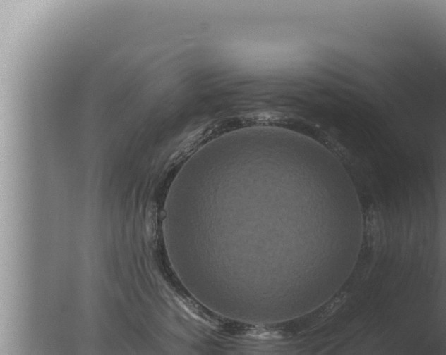 X0000077380760200610271946