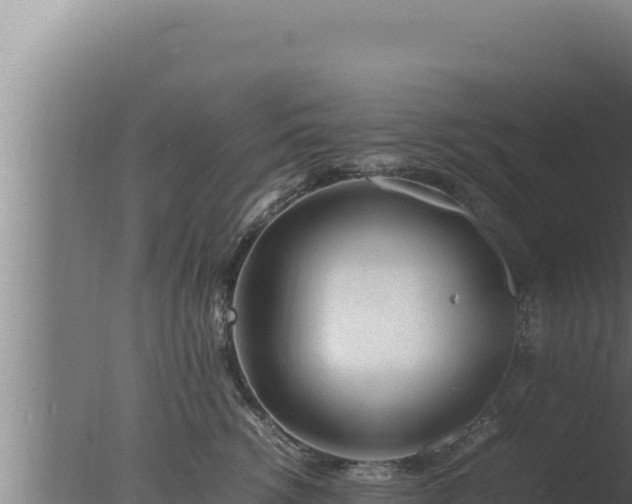 X0000077380762200610271946