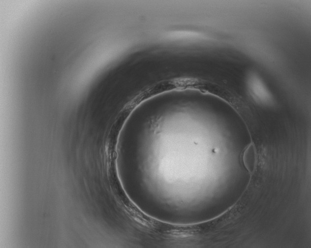 X0000077380763200610271946