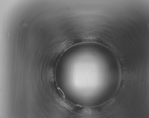 X0000077380764200610271946