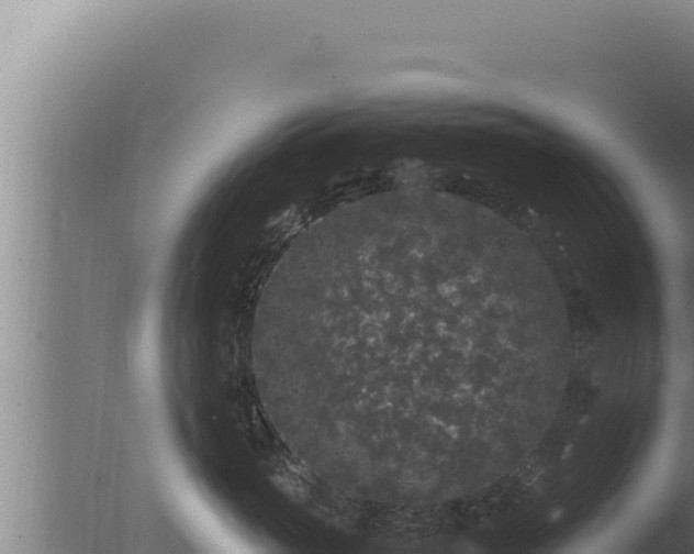 X0000077380765200610271946