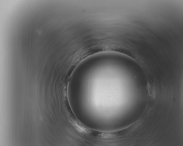 X0000077380766200610271946