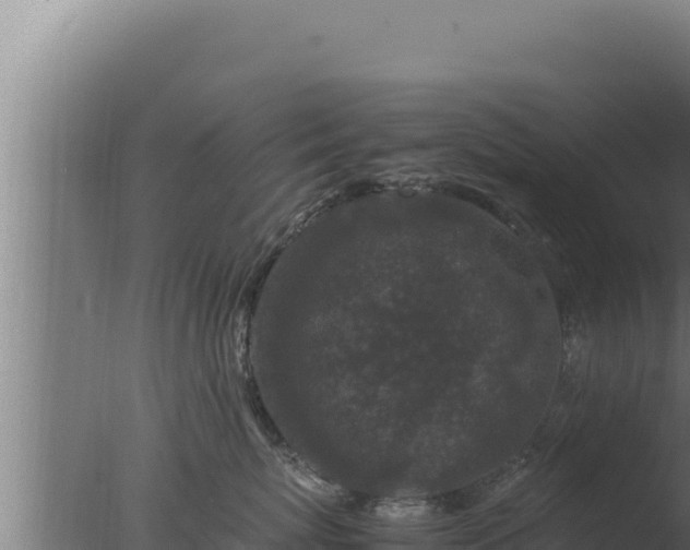 X0000077380767200610271946