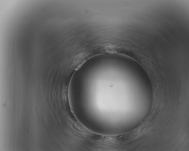 X0000077380768200610271946