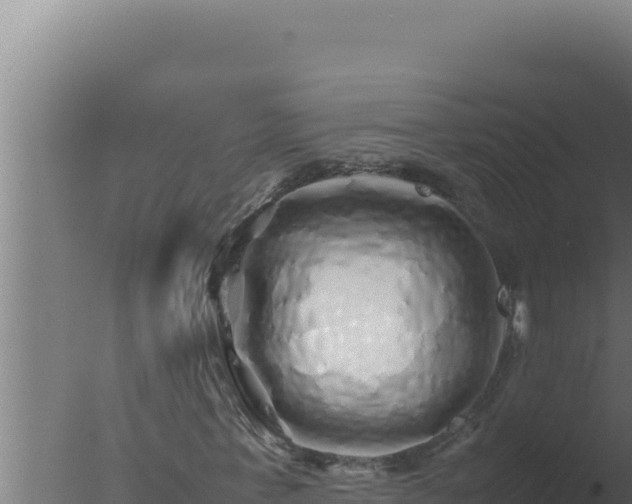 X0000077380771200610271945