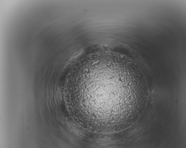 X0000077380772200610271945