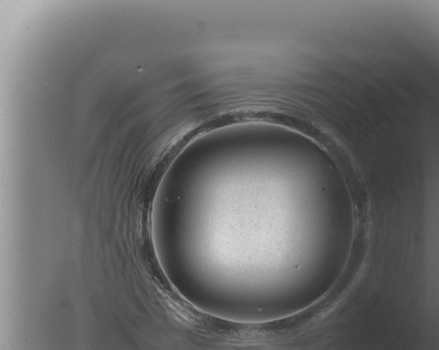 X0000077380777200610271945