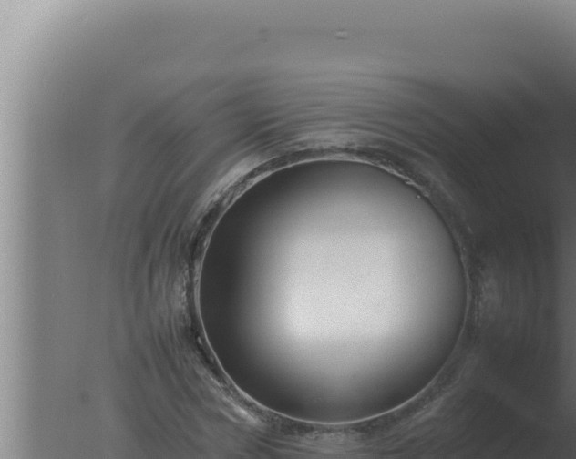 X0000077380778200610271945