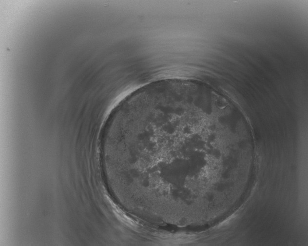 X0000077380779200610271945