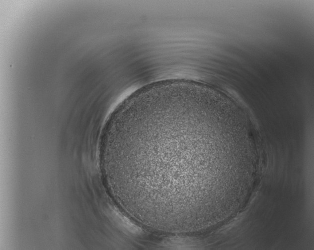 X0000077380780200610271945