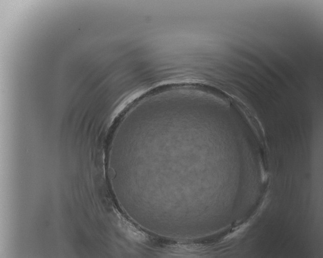 X0000077380781200610271945