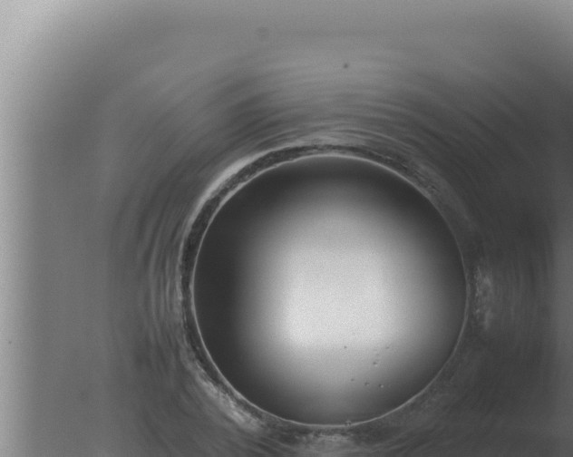 X0000077380784200610271945