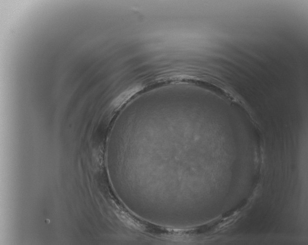 X0000077380785200610271945