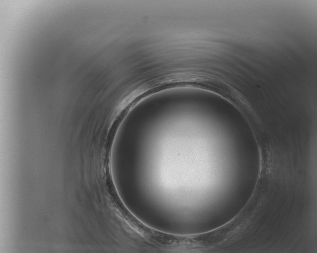 X0000077380786200610271945