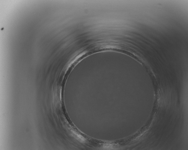 X0000077380790200610271945