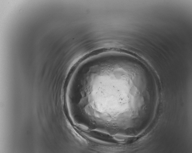 X0000077380791200610271945