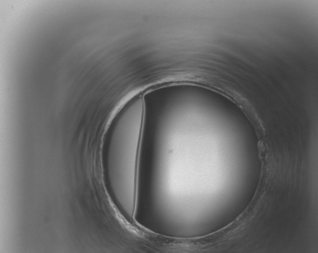 X0000077380792200610271945