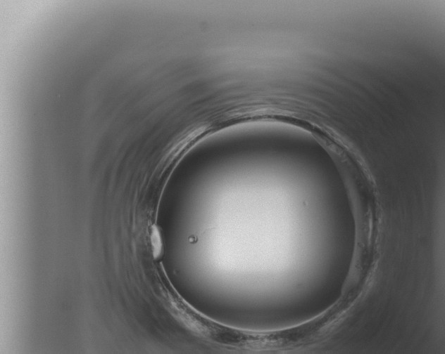 X0000077380793200610271945