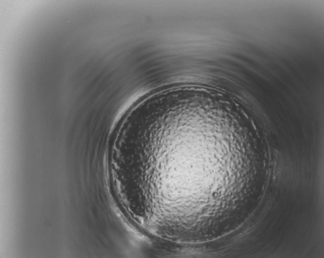 X0000077380796200610271945