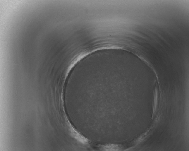 X0000077380797200610271945