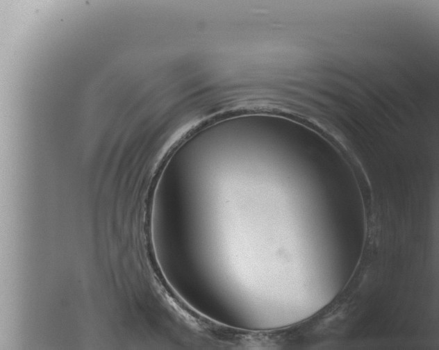 X0000077380799200610271944