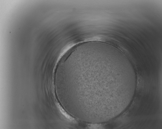 X0000077380800200610271944