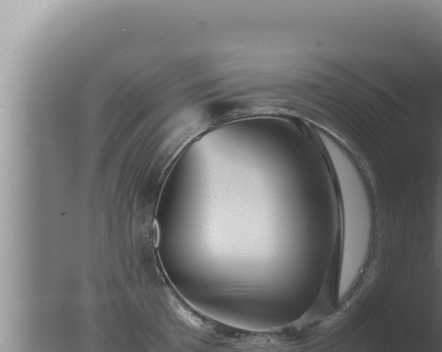 X0000077380801200610271944