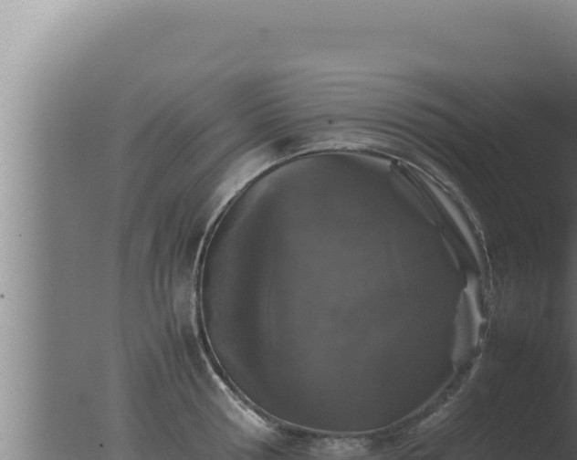 X0000077380802200610271944