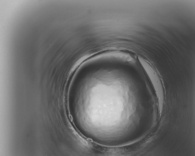 X0000077380803200610271944