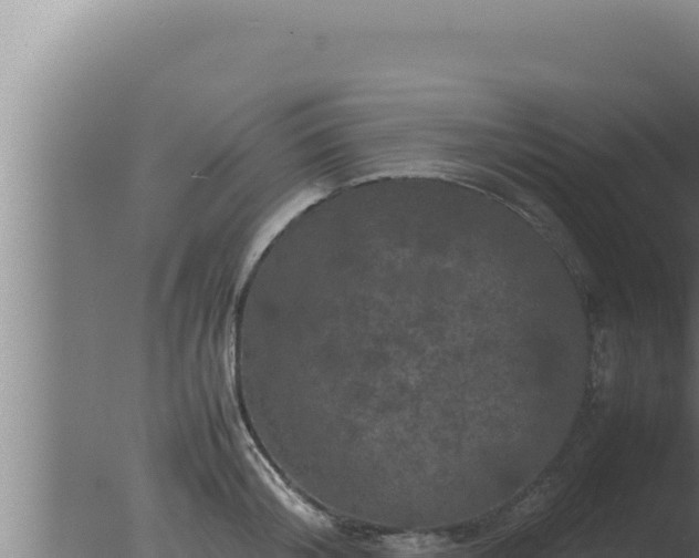 X0000077380804200610271944