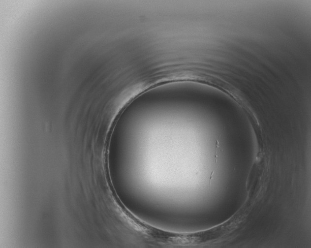 X0000077380805200610271944