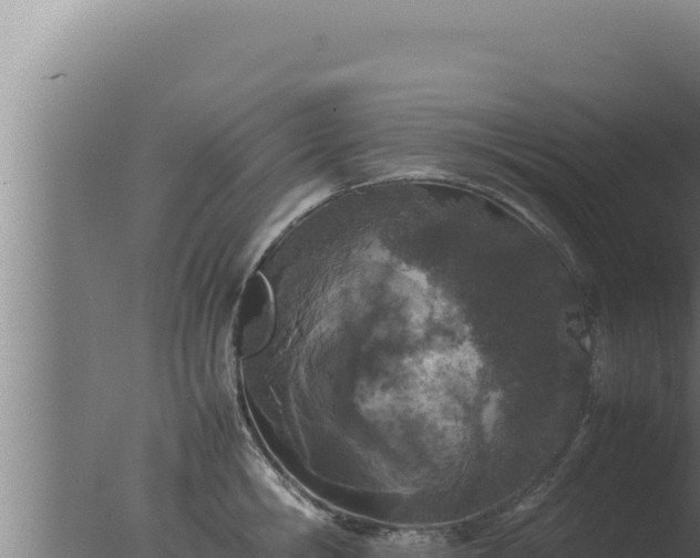 X0000077380806200610271944