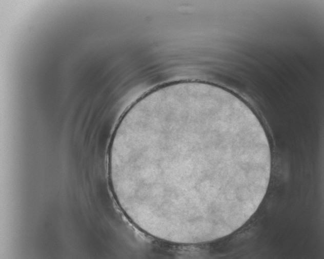 X0000077380807200610271944