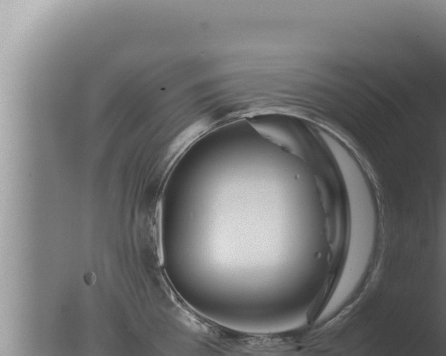 X0000077380809200610271944