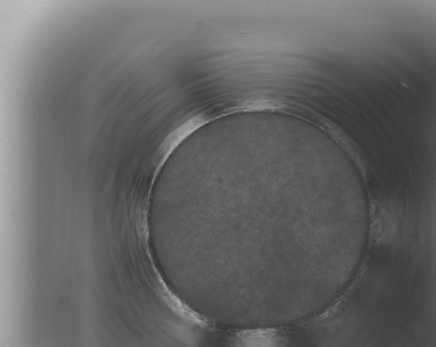 X0000077380810200610271944